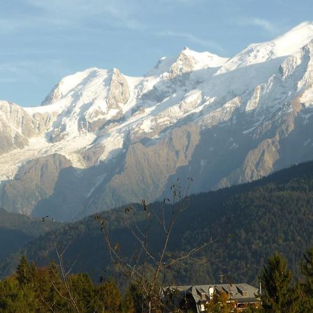 Chalet Les Chouchous Passy  Bagian luar foto