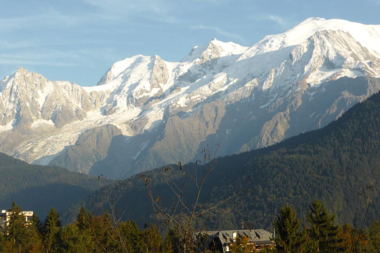 Chalet Les Chouchous Passy  Bagian luar foto